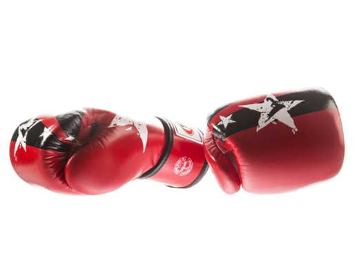 FAIRTEX BGV1-N BOXING GLOVES (red / black) &quot;Nation Print&quot; &quot;K&quot;