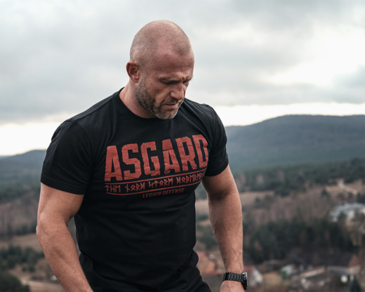 Koszulka T-shirt Dobermans Aggressive "Defence Legion Asgard" TS332 - granatowa