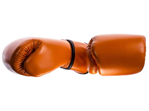 FAIRTEX BGV16 BOXING GLOVES (orange)