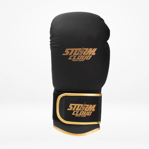 StormCloud &quot;Boxing Pro&quot; boxing gloves - black / gold