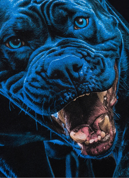 Men&#39;s hoodie PIT BULL &quot;IN BLUE&quot; - black