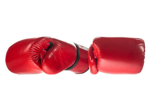 Boxing gloves FAIRTEX BGV1-B (red / black piping) breathable