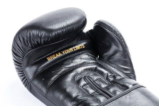 Bushido STRIKER boxing gloves - black