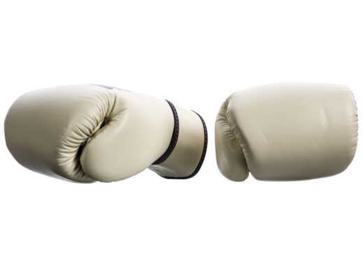 FAIRTEX BGV16 BOXING GLOVES (khaki)