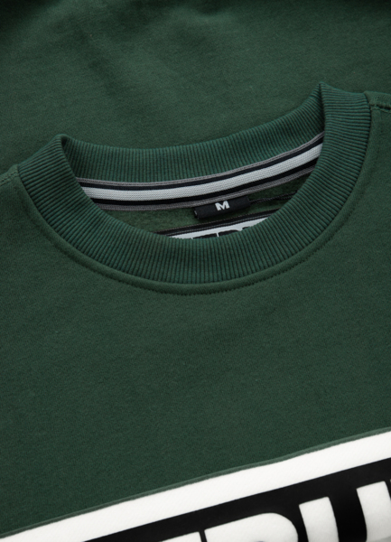 PIT BULL &quot;Sherwood&quot; sweatshirt - green