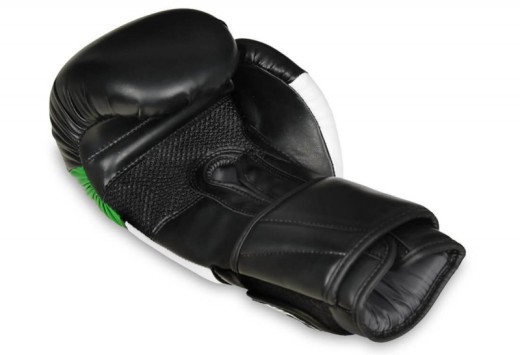 Bushido boxing gloves DBD-B-2v6