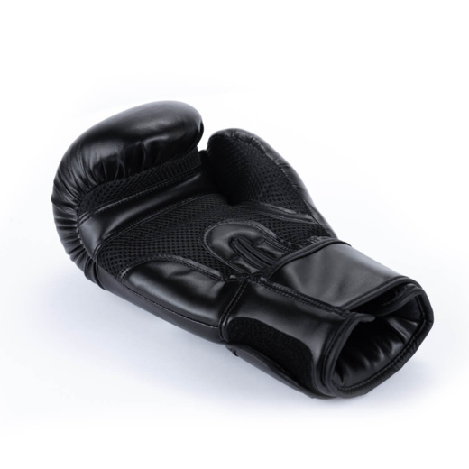 Bushido ARB-BLACK boxing gloves