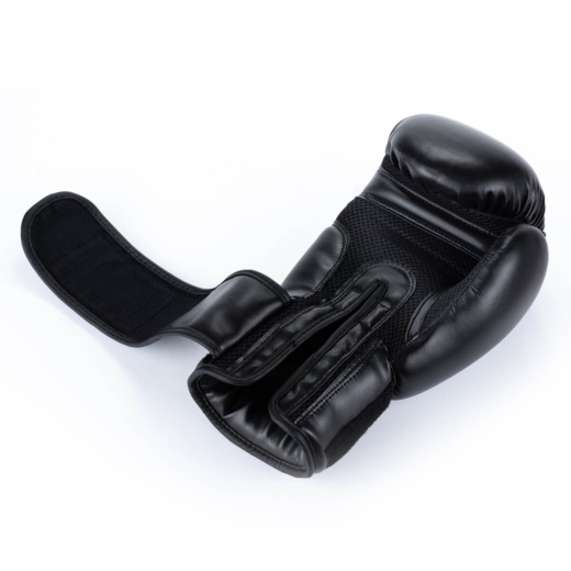 Bushido ARB-BLACK boxing gloves