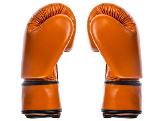 FAIRTEX BGV16 BOXING GLOVES (orange)