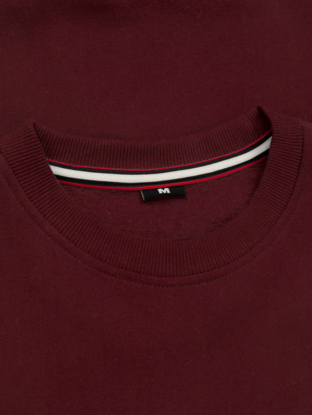 Bluza PIT BULL "Small Logo" '21 - burgundy