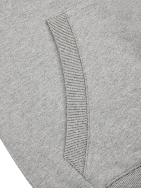 PIT BULL Hoodie &quot;Small Logo&quot; - gray