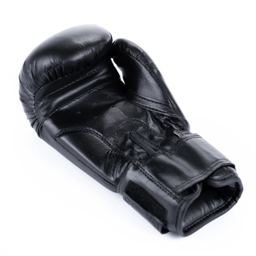 BUSHIDO ARB-407v5 children&#39;s boxing gloves - black