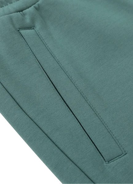 PIT BULL &quot;Explorer&quot; sweatpants - mint