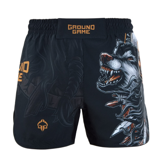 Lightweight Ground Game MMA RAGNAROK shorts