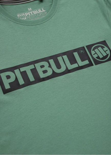 PIT BULL &quot;Hilltop&quot; T-shirt 170 - mint