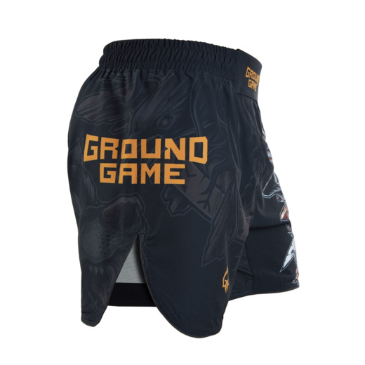 Lightweight Ground Game MMA RAGNAROK shorts