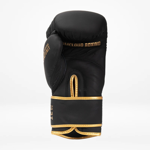 StormCloud &quot;Boxing Pro&quot; boxing gloves - black / gold