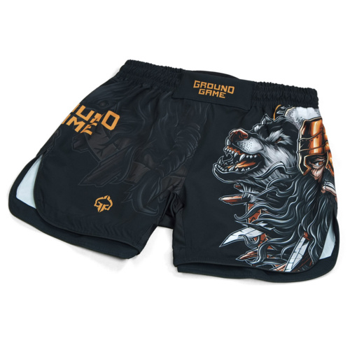 Lightweight Ground Game MMA RAGNAROK shorts