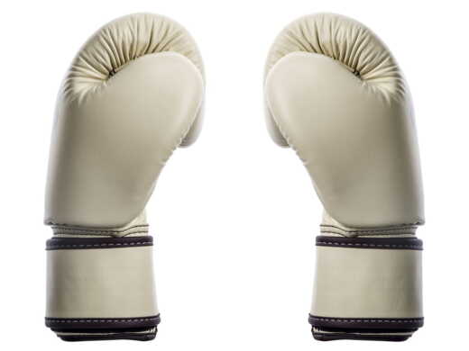 FAIRTEX BGV16 BOXING GLOVES (khaki)