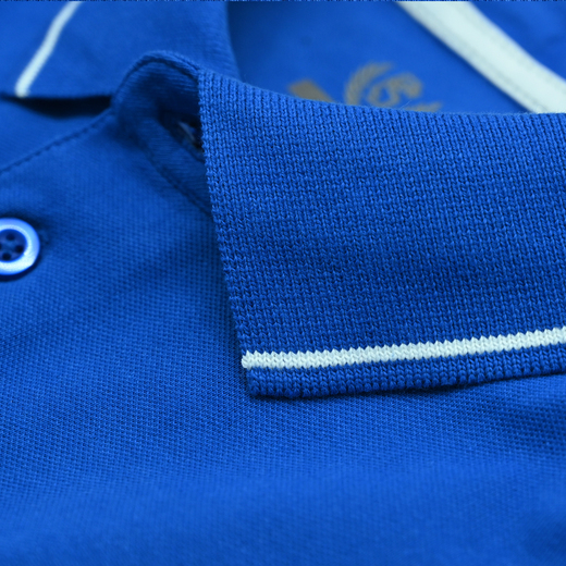 Polo Pretorian Line "Logo" - blue