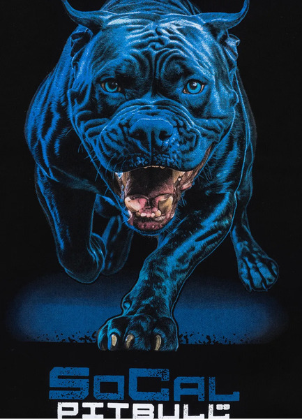 Bluza męska z kapturem PIT BULL "IN BLUE" - czarna