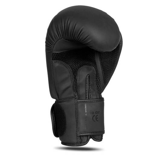 Bushido B-2v21 boxing gloves