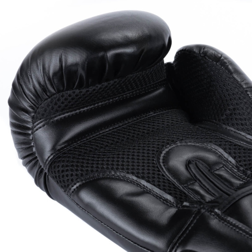 Bushido ARB-BLACK boxing gloves