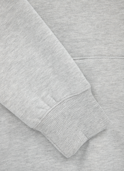 PIT BULL &quot;Sherwood&quot; hooded sweatshirt - gray