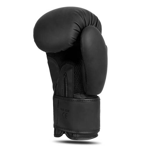 Bushido B-2v21 boxing gloves