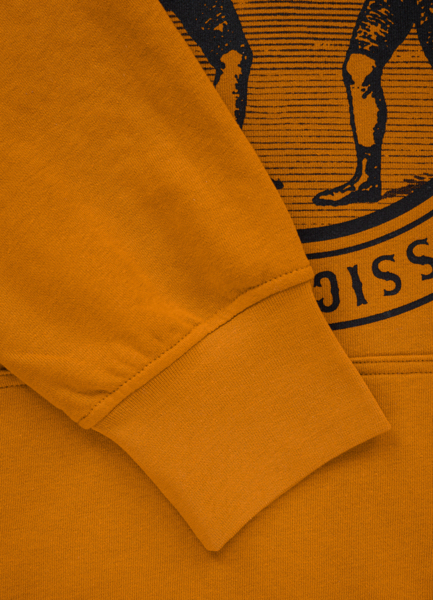 PIT BULL Hoodie &quot;Vintage Boxing&quot; &#39;22 - honey yellow