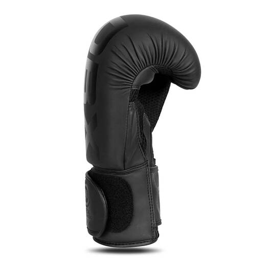 Bushido B-2v21 boxing gloves