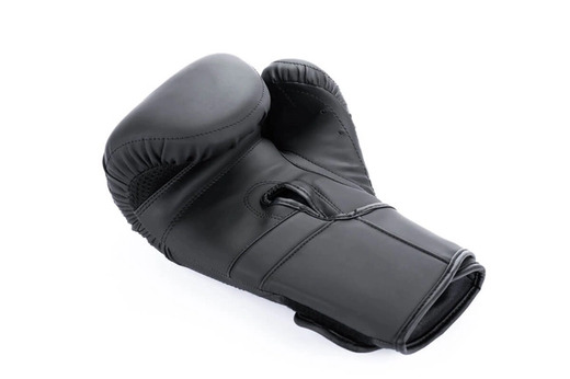 Bushido HAMMER boxing gloves - B-2v15B