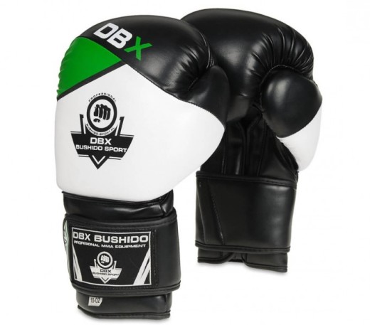 Bushido boxing gloves DBD-B-2v6