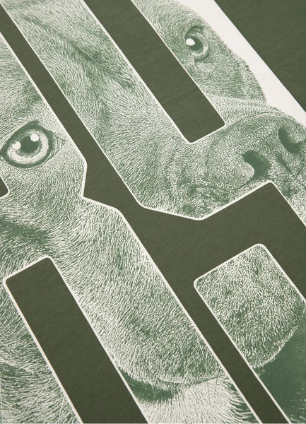 PIT BULL &quot;Eighty Nine Dog&quot; T-shirt - olive