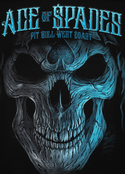 Bluza klasyczna PIT BULL BLUE SKULL - czarna