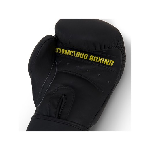 StormCloud &quot;Boxing Pro&quot; boxing gloves - black