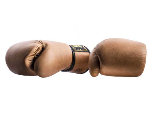 FAIRTEX BGV21 BOXING GLOVES (raw brown) &quot;Legacy