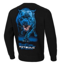 Bluza męska PIT BULL "IN BLUE" - czarna