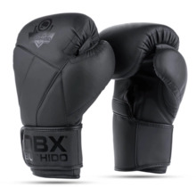 Bushido HAMMER boxing gloves - B-2v15B